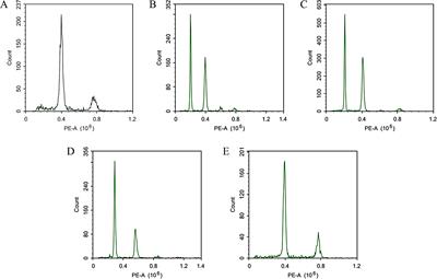 Genetic characteristics of the diploid offsprings in potato Cooperation 88 induced by diploid donor IVP101